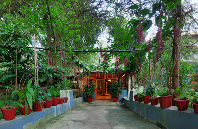 Gokulam Grand Resort & Spa Coorg