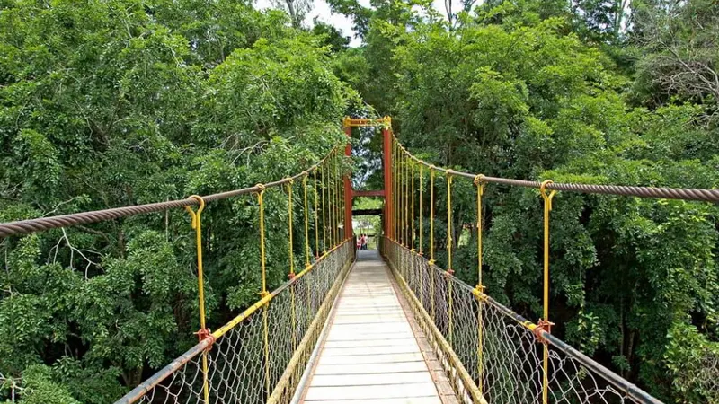 Gokulam Grand Resort & Spa Coorg